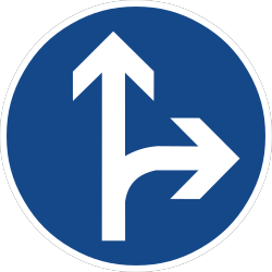 Verkehrszeichen 214: Geradeaus oder rechts